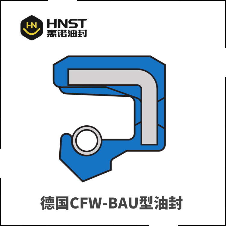 BAUM骨架油封