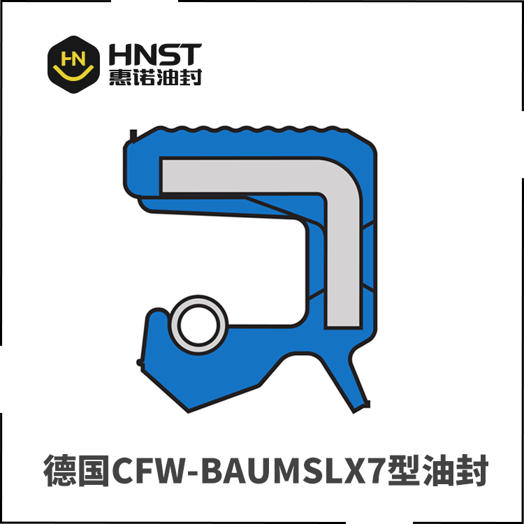 BAUMSL骨架油封