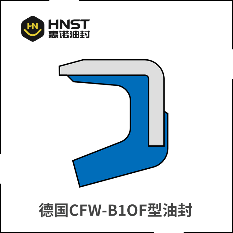 B1OF外铁壳骨架油封