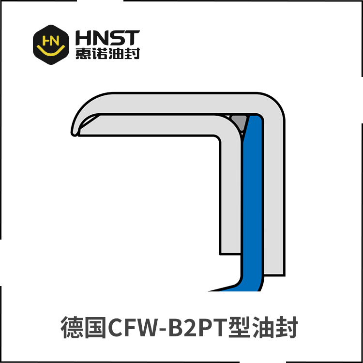 B2PT不锈钢PTFE聚四氟乙烯油封 