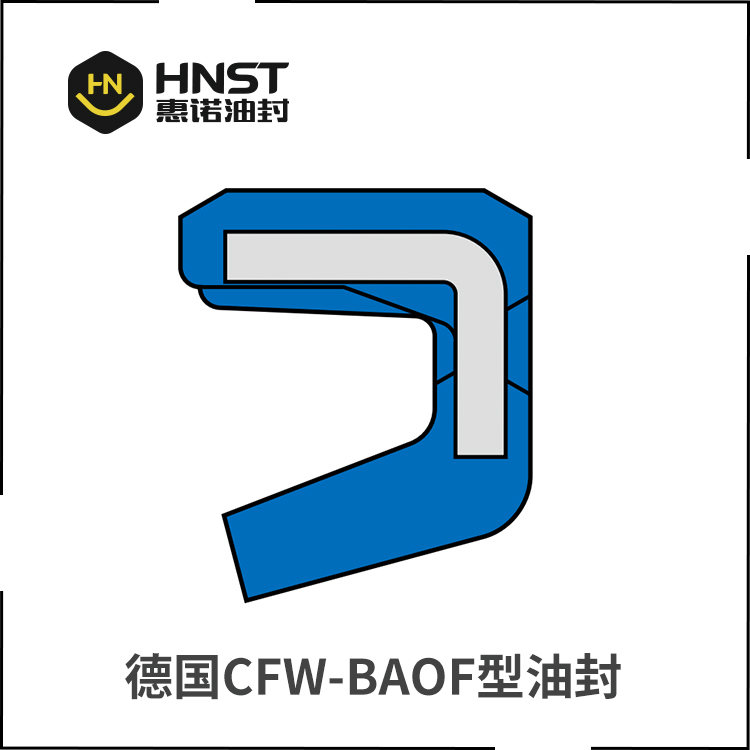 BAOF油封.jpg