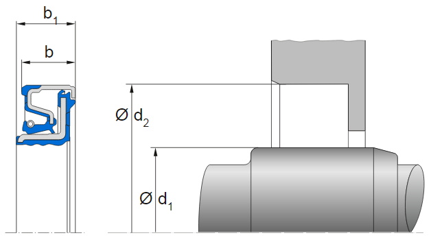 盒式油封CASS-T1型沟槽图.png