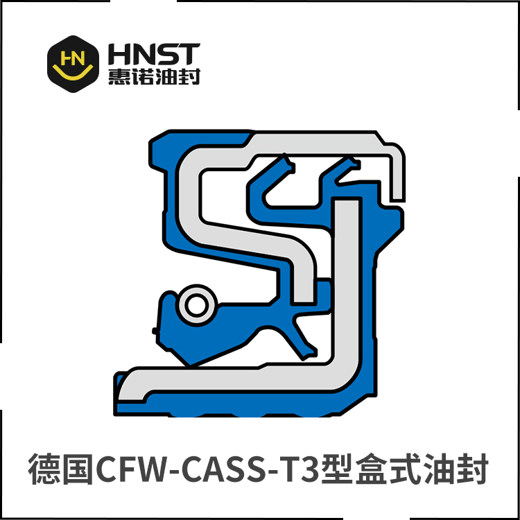 CASST3盒式组合油封 